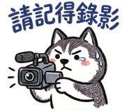 886353007