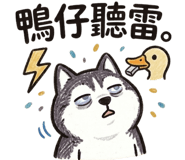886353028