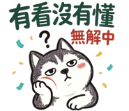 886353031