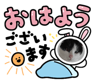 886363003