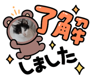 886363005