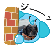 886363688