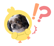 886364242