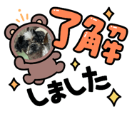 886364245