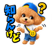 886374444
