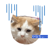 886375008