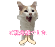 886375014