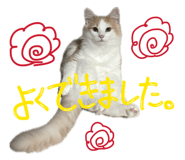 886375024