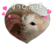 886375026