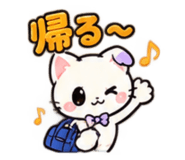 886375372