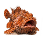 886501871