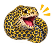 886501974