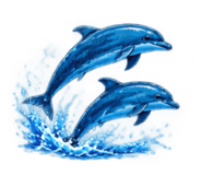 886502352