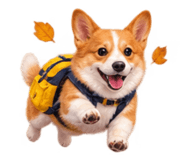 886503355