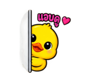886521919