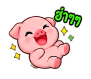886522056