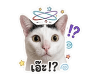 886522196