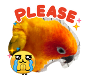 886531214