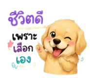886579120