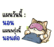 886587653