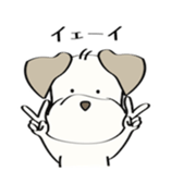 88659057