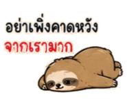 886591433