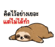 886591440