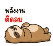 886591448