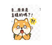 886628355