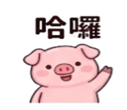 886629105