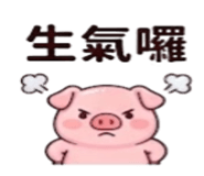 886629107