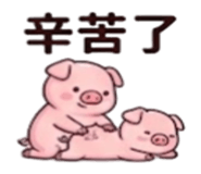 886629116
