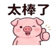 886629118