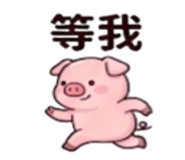 886629125