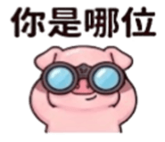886629134