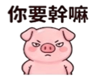 886629142