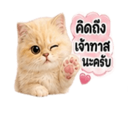 886631129