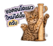886631140