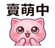 886636087