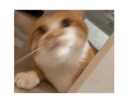 886641373