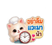 886643796