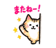 886650519