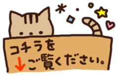 8867906