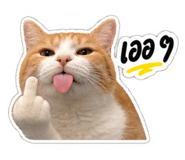886796426
