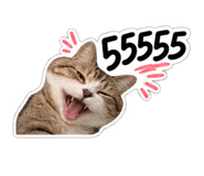 886796428