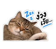 886796434