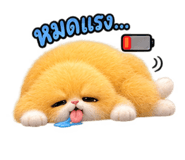 886801582