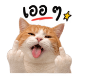 886809714