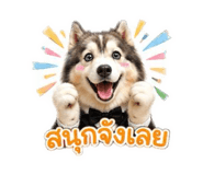 886811334
