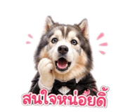 886811340
